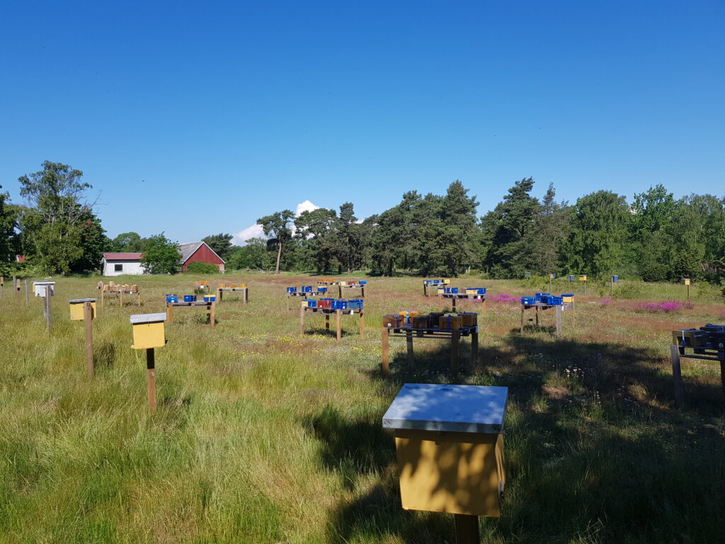 Bilden visar ett större område av parningsstationen.